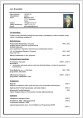 wzór cv